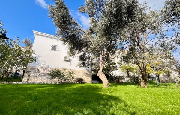 IMG-20251208-WA0032